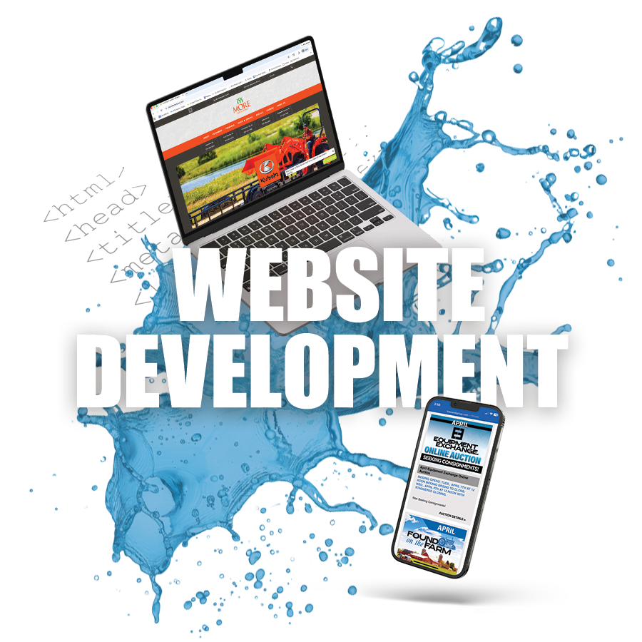 Web Development